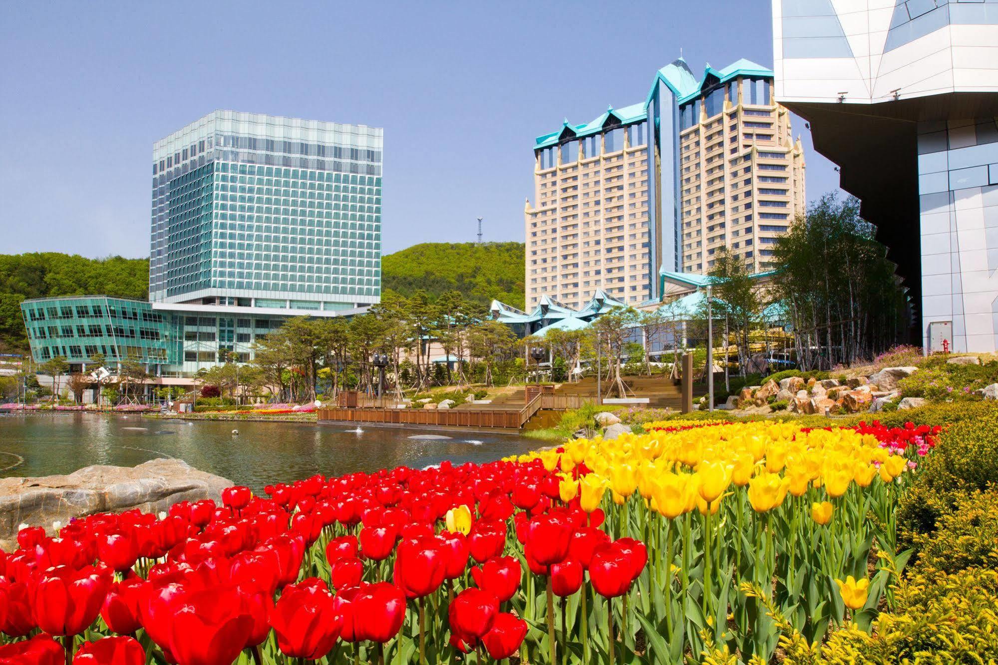 High1 Grand Hotel Main Tower Jeongseon Exterior photo